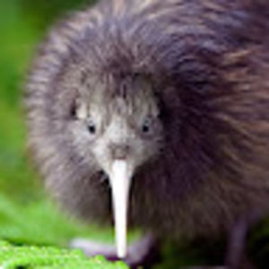 Meet your Posher, Luke